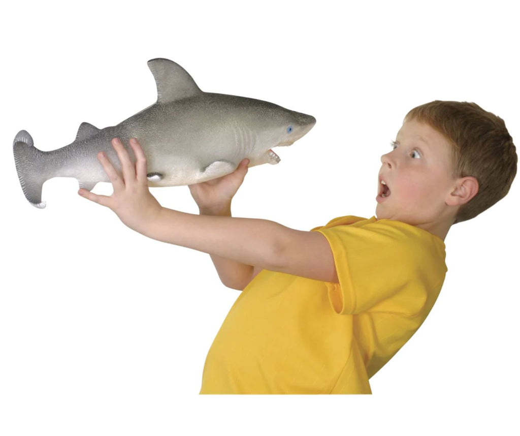 Ginormous Grow Shark Toys Toysmith 