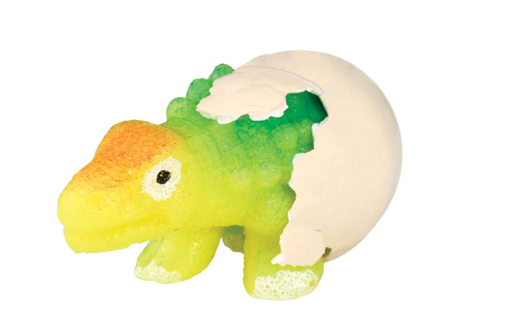 Grow Dino Egg Toys Toysmith 