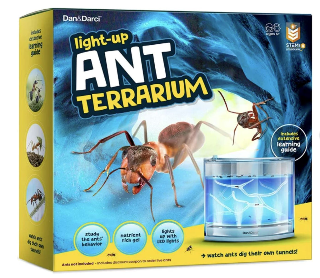 Light-Up Ant Terrarium Toys Dan&Darci 