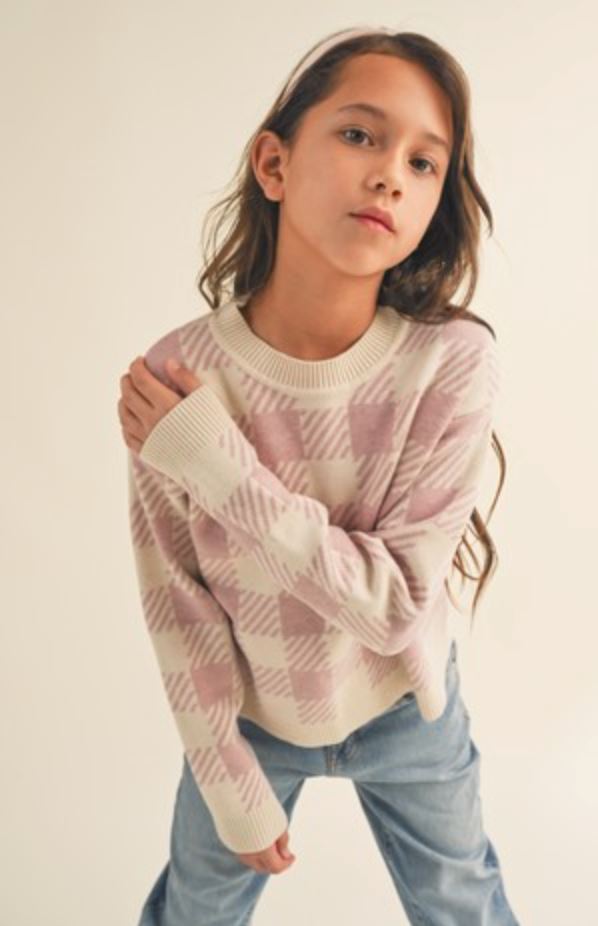 Striped Check Pullover sweater Heart and Arrow 