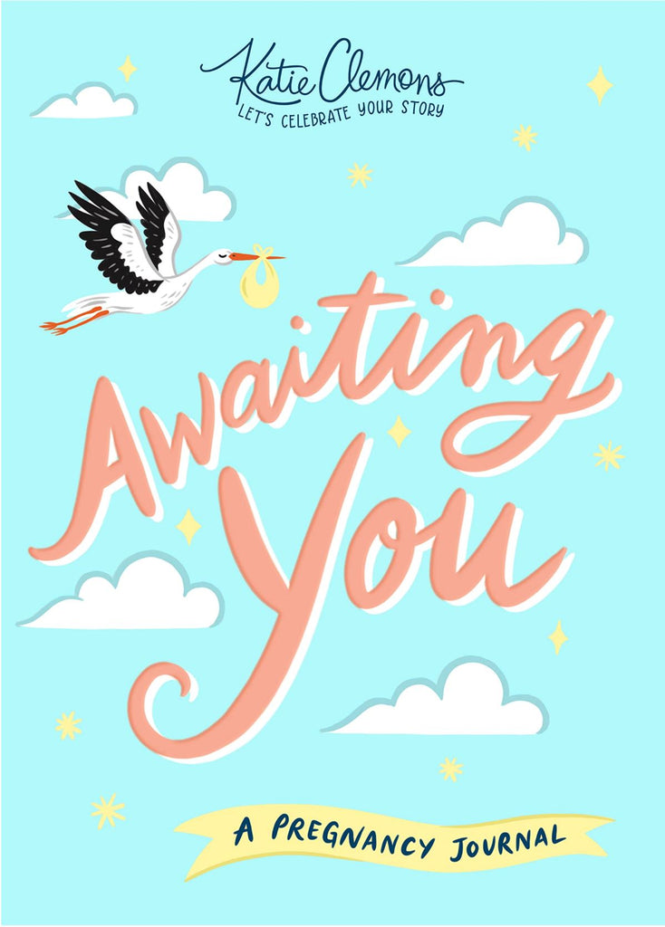 Awaiting You: A Pregnancy Journal book Sourcebooks 